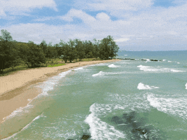 Vivuphuquoc GIF