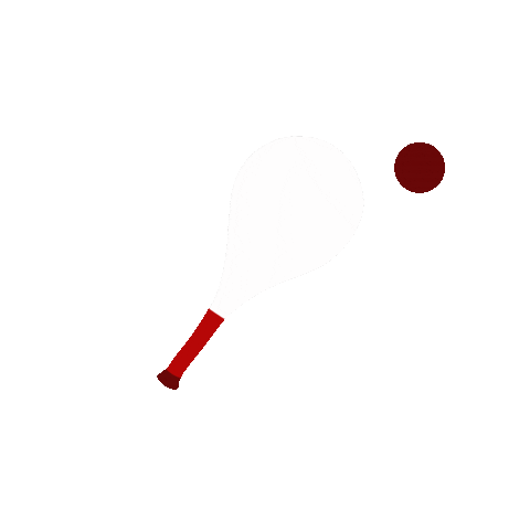 Ball Stv Sticker by Rheintaler Turnfest 2022