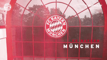 champions league football GIF by FC Bayern Munich