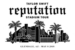 Reputation Stadium Tour Arizona GIF by Taylor Swift