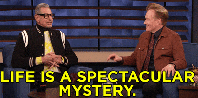 jeff goldblum life is a mystery GIF by Team Coco