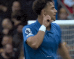 Brighton Babis GIF