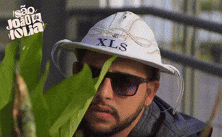 Forro Aracaju GIF by foliaentretenimento