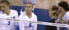 Celebration Volleyball GIF by NCAA Championships