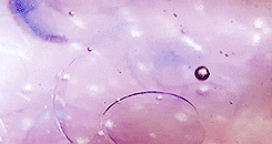 and grace bloom is such a great character