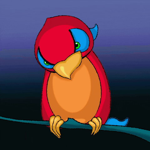 Angry Parrot GIF