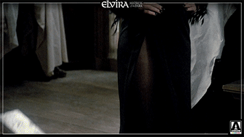 elvira mistress of the dark film GIF by Arrow Video