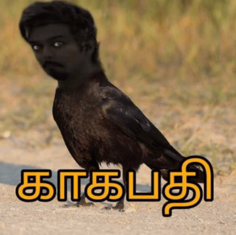 Vijay GIF