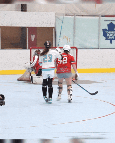 Ball Hockey GIF by USABH_giphy