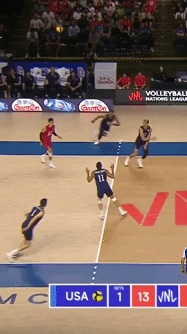 American Sport GIF by Volleyball World
