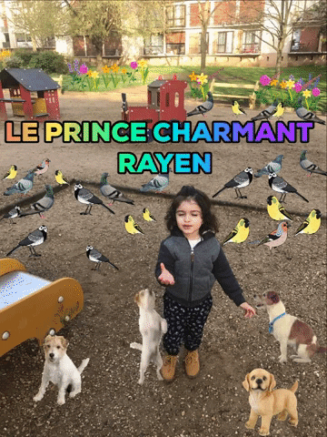 Animated GIF