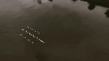 200.gif?cid=fc005b0877c909299a7debae32408bf37c693c8f9db4fd59&rid=200.gif&ct=g