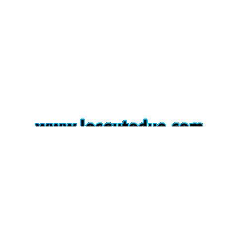 Website Sitoweb Sticker by LocAutoDue