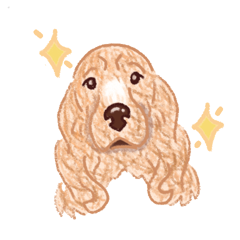 Dog Spaniel Sticker