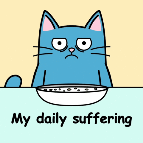 Bad Day Nopecat GIF