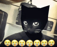 Bro Son GIF