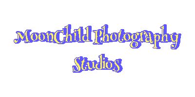 Moonchild Photography Studios Sticker