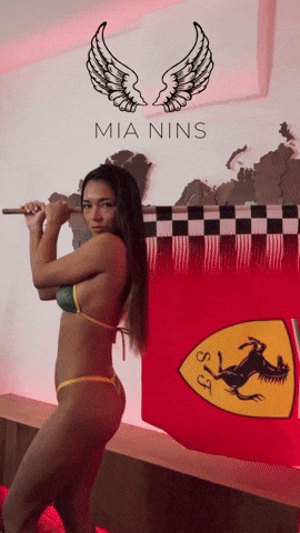 Racing Flag GIF