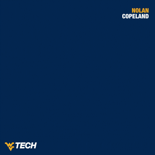 Baseball GIF by WVU Tech Golden Bears