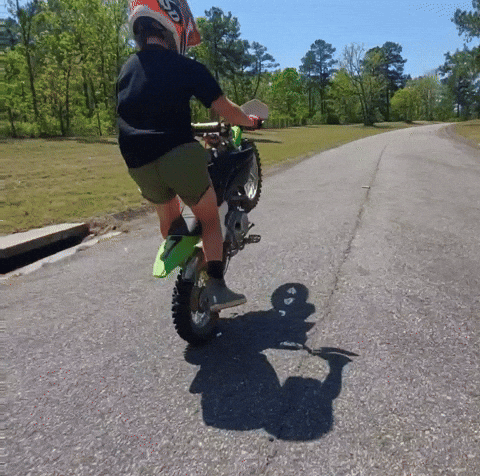 Wheelie Kawasaki GIF