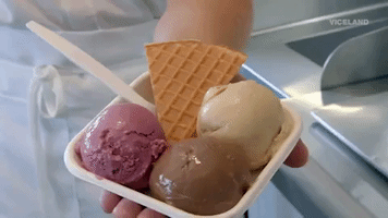 viceland GIF by THE ICE CREAM SHOW