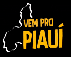 Nordeste Piaui GIF by Governo do Piauí
