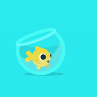fish gif artist GIF
