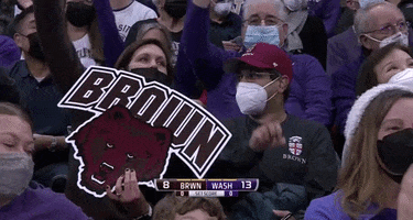 Ncaa Fans GIF by Brown Volleyball
