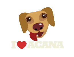 Heart Love Sticker by Acana Greece