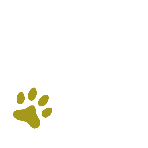 Paws Metabolic Sticker by KUNKAY