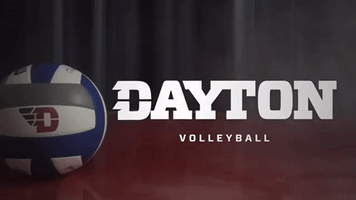 University Of Dayton Ball GIF by Dayton Flyers