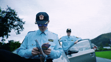 Hip Hop Police Rap GIF by Vibbefanger
