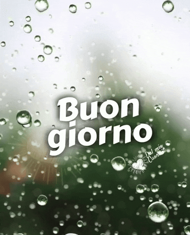 Buongiorno GIF