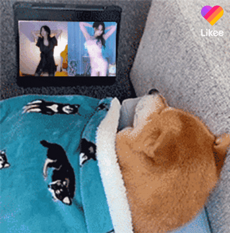 Happy Cat GIF by Likee US