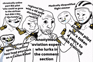 Aviation Studentpilot GIF