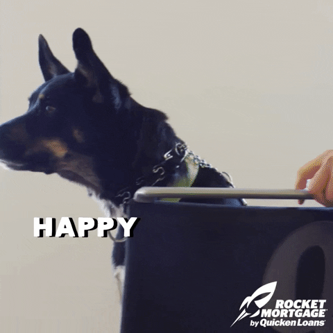 Working like a dog gif image