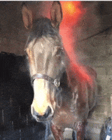 200.gif?cid=fc005b0847ec28049683f1dd903ea1e1483f8c9641e1ae0f&rid=200.gif&ct=g