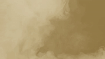 Bearcats GIF