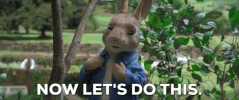 Inspo GIF by Peter Rabbit Movie