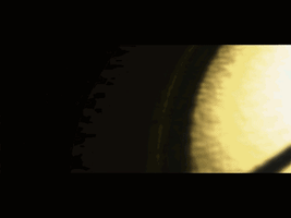 Hernanduque GIF