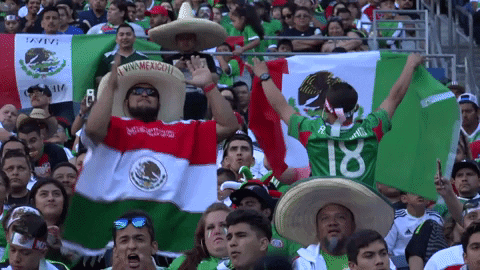 Mexico Baile GIF by MiSelecciónMX - Find & Share on GIPHY