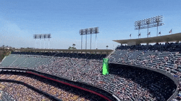 Los Angeles Dodgers GIF by Storyful