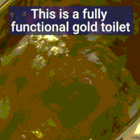 toilet gatsby GIF