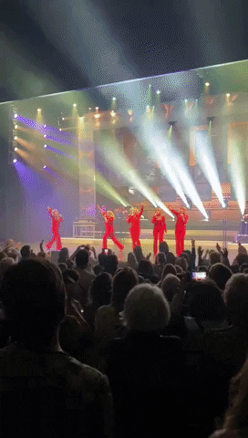 GIF by Zaantheater