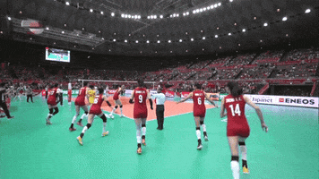 World Cup Yes GIF by Volleyball World