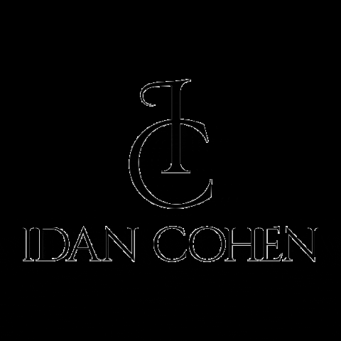 Wedding Idan Cohen GIF