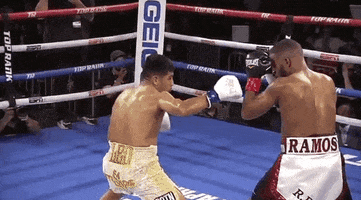 top rank sport GIF by Top Rank Boxing