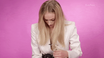 Sophie Turner Puppies GIF by BuzzFeed