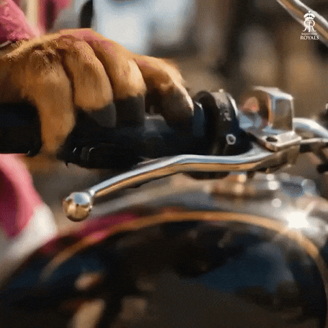 Pink India GIF by Rajasthan Royals
