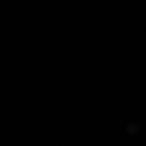 Beauty Queen GIF by AndreaRomeroBre